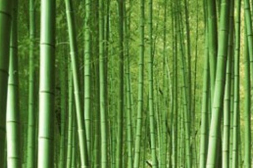 广西十大品牌排行榜2025年排名前十名榜单出炉