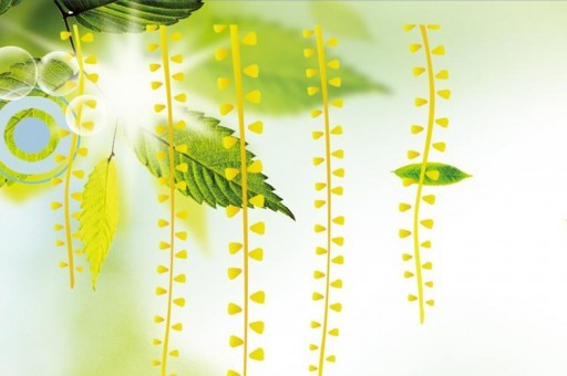 十大同城配送平台2025近期排名前十名榜单出炉