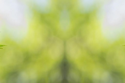 2021年摩托车十大品牌排行榜2025年排名前十名榜单出炉