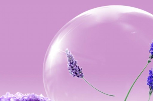 世界上特别粘人的五种猫2025年排名前十名榜单出炉