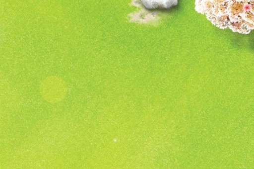 滑雪服哪个牌子好2025近期排名前十名分析
