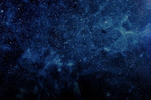 世界上十大特别令人惊讶的奇异植物排行榜2025年排名前十名榜单出炉