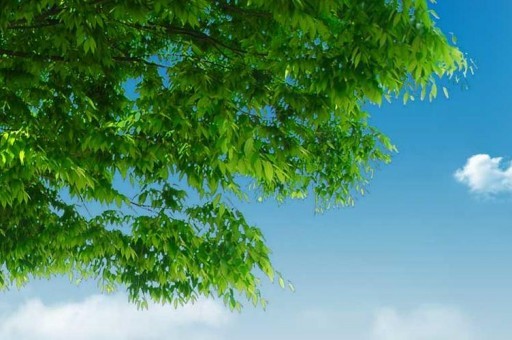 2025十万左右颜值高车型排行榜2025年排名前十名榜单出炉