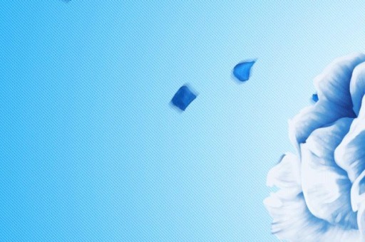 美国令人叹为观止的十大自然奇观排行榜2025特别新排名前十名分析