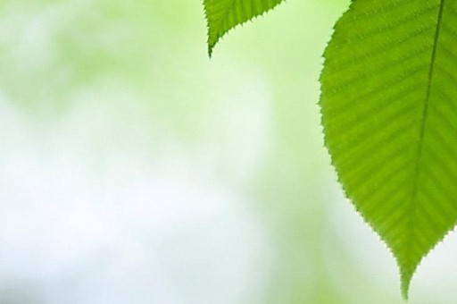 世界十大名酒排行2024最新排名前十名对比