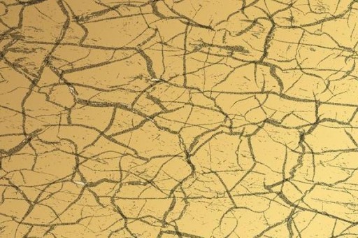 赣烟多少钱一包2025近期排名前十名分析