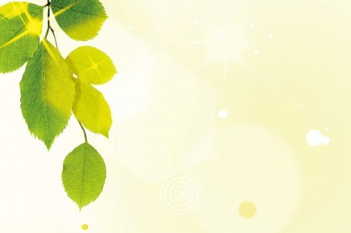 40岁好用精华液品牌排行榜2025年排名前十名榜单出炉